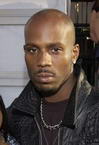 DMX photo