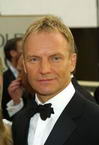 Sting photo